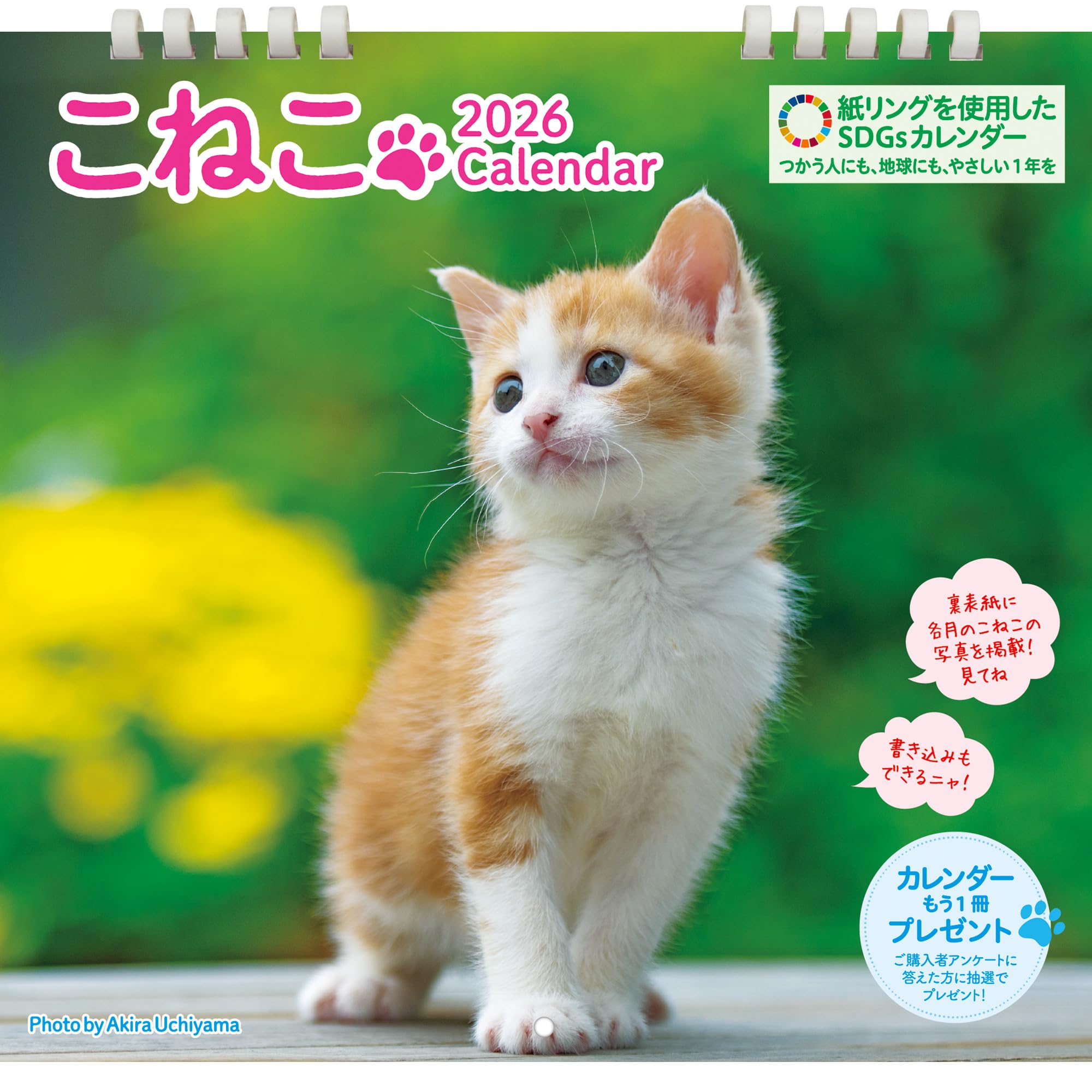 こねこカレンダー 2026 壁掛け（B4変型）／月めくり｜かわいい子猫写真